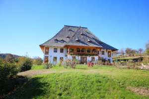 Ausgleichsflächen beim Hausbau? Was Bauherren in Bayern jetzt wissen müssen
